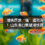 港铁巨龙“链”通陆海！山东港口智慧港铁建设硕果累累（图2）