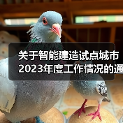 关于智能建造试点城市2023年度工作情况的通报（图1）