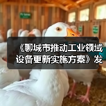 《聊城市推动工业领域设备更新实施方案》发布（图2）