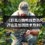 《超高压输电线路防风评估及加固技术导则》等立项获批（图3）