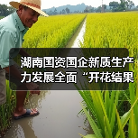 湖南国资国企新质生产力发展全面“开花结果”（图1）