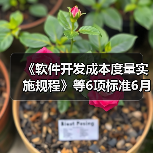 《软件开发成本度量实施规程》等6项标准6月7日实施(图1) 《软件开发成本度量实施规程》等6项标准6月7日实施(图1)