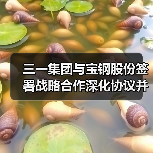 三一集团与宝钢股份签署战略合作深化协议并为联合实验室揭牌(图1) 三一集团与宝钢股份签署战略合作深化协议并为联合实验室揭牌(图1)