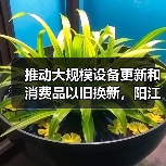 推动大规模设备更新和消费品以旧换新，阳江市发布实施方案（图2）