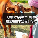 《预应力混凝土U形板桩应用技术规程》标准发布施行(图4) 《预应力混凝土U形板桩应用技术规程》标准发布施行(图4)