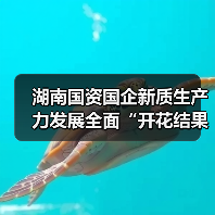 湖南国资国企新质生产力发展全面“开花结果”（图4）