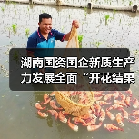 湖南国资国企新质生产力发展全面“开花结果”（图3）