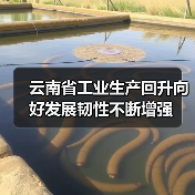 云南省工业生产回升向好发展韧性不断增强（图1）