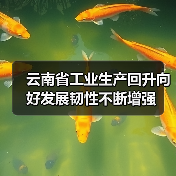 云南省工业生产回升向好发展韧性不断增强（图3）