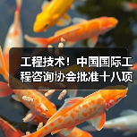 工程技术！中国国际工程咨询协会批准十八项标准立项（图2）