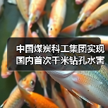 中国煤炭科工集团实现国内首次千米钻孔水害超前探测（图4）