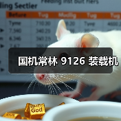 国机常林 9126 装载机(图4) 国机常林 9126 装载机(图4)