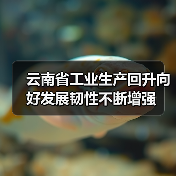 云南省工业生产回升向好发展韧性不断增强(图4) 云南省工业生产回升向好发展韧性不断增强(图4)