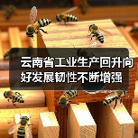 云南省工业生产回升向好发展韧性不断增强(图2) 云南省工业生产回升向好发展韧性不断增强(图2)