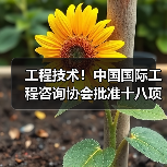 工程技术！中国国际工程咨询协会批准十八项标准立项（图3）