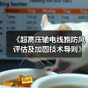 《超高压输电线路防风评估及加固技术导则》等立项获批（图1）