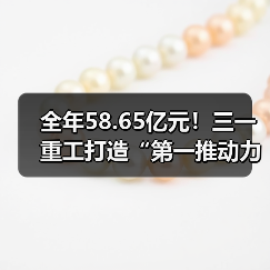 全年58.65亿元！三一重工打造“第一推动力”！（图2）