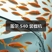 盖尔 540 装载机(图4) 盖尔 540 装载机(图4)
