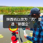 陕西省以改为“刃”塑造“新国企”（图1）