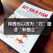 陕西省以改为“刃”塑造“新国企”（图4）