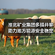 淮北矿业集团多措并举助力地方能源安全稳定（图1）