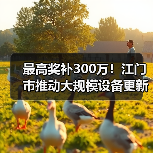最高奖补300万!江门市推动大规模设备更新及企业技术改造(图1) 最高奖补300万!江门市推动大规模设备更新及企业技术改造(图1)
