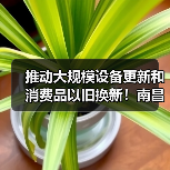 推动大规模设备更新和消费品以旧换新！南昌出台行动方案（图4）