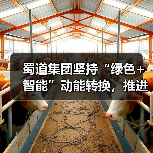 蜀道集团坚持“绿色+智能”动能转换,推进新质生产力发展(图3) 蜀道集团坚持“绿色+智能”动能转换,推进新质生产力发展(图3)