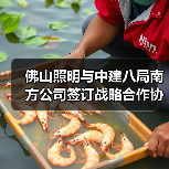 佛山照明与中建八局南方公司签订战略合作协议(图1) 佛山照明与中建八局南方公司签订战略合作协议(图1)