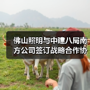 佛山照明与中建八局南方公司签订战略合作协议(图4) 佛山照明与中建八局南方公司签订战略合作协议(图4)