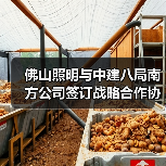 佛山照明与中建八局南方公司签订战略合作协议(图2) 佛山照明与中建八局南方公司签订战略合作协议(图2)