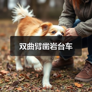 双曲臂凿岩台车(图2) 双曲臂凿岩台车(图2)