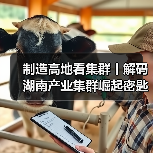 制造高地看集群丨解码湖南产业集群崛起密匙(图3) 制造高地看集群丨解码湖南产业集群崛起密匙(图3)