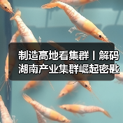 制造高地看集群丨解码湖南产业集群崛起密匙(图1) 制造高地看集群丨解码湖南产业集群崛起密匙(图1)
