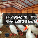 制造高地看集群丨解码湖南产业集群崛起密匙(图4) 制造高地看集群丨解码湖南产业集群崛起密匙(图4)