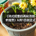 《塔式起重机再制造技术规范》6月1日起正式实施（图4）