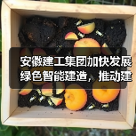 安徽建工集团加快发展绿色智能建造,推动建筑业转型升级(图1) 安徽建工集团加快发展绿色智能建造,推动建筑业转型升级(图1)