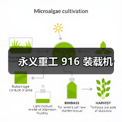 永义重工 916 装载机（图4）