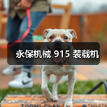 永保机械 915 装载机（图3）