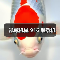凯威机械 916 装载机(图4) 凯威机械 916 装载机(图4)