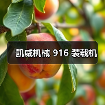 凯威机械 916 装载机(图3) 凯威机械 916 装载机(图3)