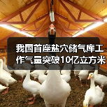 我国首座盐穴储气库工作气量突破10亿立方米（图2）