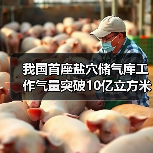 我国首座盐穴储气库工作气量突破10亿立方米（图1）