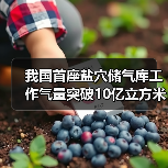 我国首座盐穴储气库工作气量突破10亿立方米（图4）