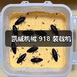 凯威机械 918 装载机（图4）