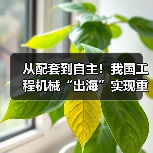 从配套到自主！我国工程机械“出海”实现重大转变（图1）