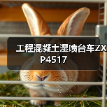 工程混凝土湿喷台车ZXP4517（图3）
