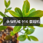 永保机械 916 装载机（图2）