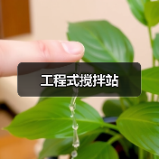 工程式搅拌站（图2）