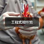 创启达优科机械 - 精密机械设备与工业五金解决方案_创启达优科机械